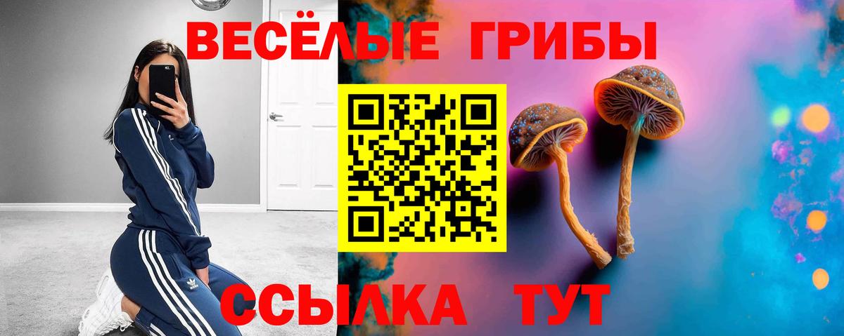 Галлюциногенные грибы Psilocybine cubensis  Псилоцибиновые грибы Magic Shrooms  Сургут  Вход с VPN 